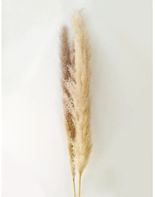 Umelá pampová tráva 150 cm