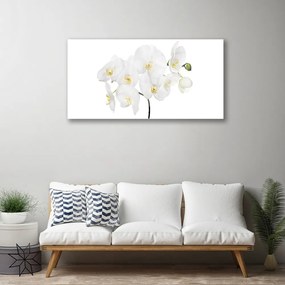 Skleneny obraz Biela orchidea kvety 120x60 cm