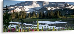 Obraz - Mount Rainier (120x50 cm)
