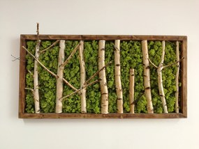 Machovo-brezový obraz 65cm x 130cm