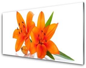 Obraz na akrylátovom skle Oranžové kvety 140x70 cm