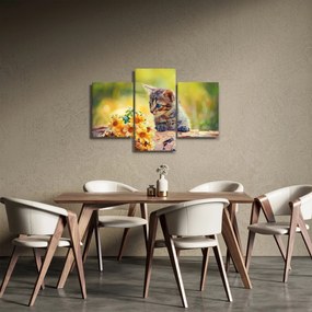 Obraz mačiatka pozerajúce sa na kvetinu (90x60 cm)