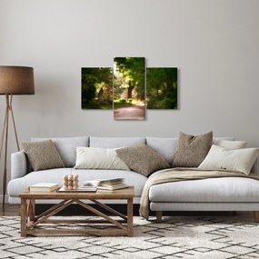 Obraz parku (90x60 cm)