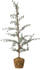 Umelý vianočný stromček výška 90 cm Vita – Bloomingville