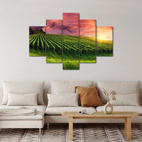 Obraz vinice s farebným nebom (150x105 cm)