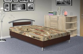 Čalúnená posteľ s úložným priestorom Dajana čalúnenie: EKO koža tmavá bordó/MEGA 039 béžová