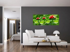 Obraz - Lienka sedembodková (120x50 cm)