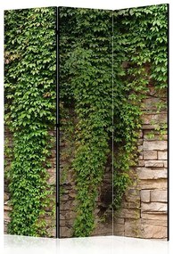 Paraván - Ivy wall [Room Dividers] Veľkosť: 135x172, Verzia: Akustický