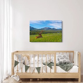Obraz - Jeleň v lúke (90x60 cm)