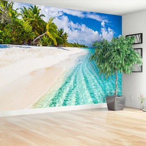 Fototapeta Vliesová Palm beach 104x70 cm