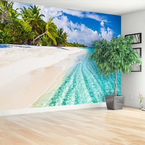 Fototapeta Vliesová Palm beach 152x104 cm