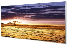Obraz na skle Mraky strom neba 100x50 cm