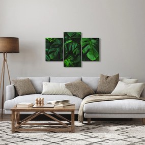 Obraz listov Monstery (90x60 cm)