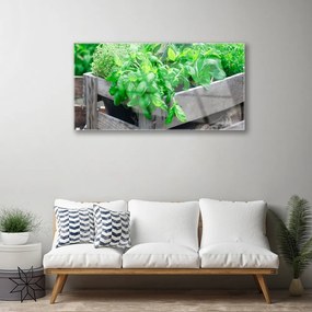 Obraz na skle Listy príroda rastlina 120x60 cm