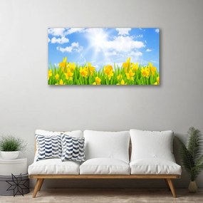 Obraz Canvas Narcisy lúka tráva príroda 120x60 cm