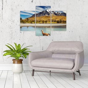 Obraz - Národný park Torres del Paine (90x60 cm)