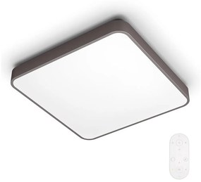 Philips 60261/43/P5 - LED Stmievateľné stropné svietidlo 1xLED/32W/230V + DO 60261/43/P5