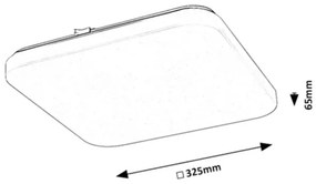 Rabalux 75014-LED Stropné svietidlo s pohybovým senzorom VENDEL LED/20W/230V 4000K 32x32cm