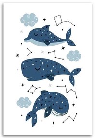 Gario Obraz na plátne Šťastné veľryby Rozmery: 40 x 60 cm