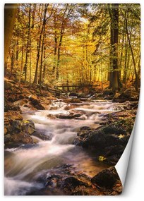 Fototapeta, Vodopád v lese - 150x210 cm