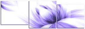 Obraz na plátne - Elegantný kvet - panoráma 5147VD (120x40 cm)
