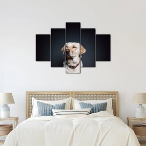 Obraz labradora (150x105 cm)