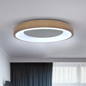 Brilagi - stmievateľné LED svietidlo DORIA LED/60W/230V 3000-6500K priemer 60 cm + diaľkové ovládanie