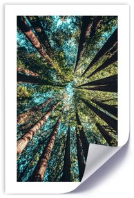 Gario Plagát Konáre vysokých stromov Farba rámu: Bez rámu, Veľkosť: 20 x 30 cm