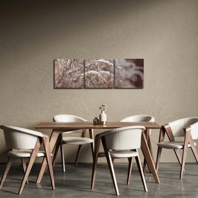 Obraz rastlín (s hodinami) (90x30 cm)