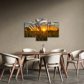 Obraz pole pri západe slnka (90x60 cm)