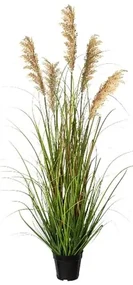 Umelá tráva Proso, 122 cm, zelenohnedá