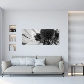 Obraz - Kvetina v čiernobielej (120x50 cm)