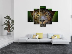 Obraz - Portrét leoparda, Sri Lanka (150x105 cm)