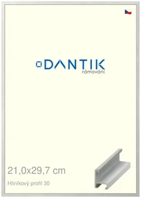 DANTIK rám na obraz 21x29,7 | ALU Dýha barevná šedá světlá (Sklo Čiré)