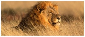Obraz - Národný park Etosha (120x50 cm)