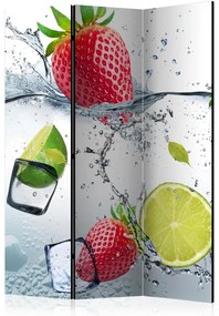 Artgeist Paraván - Fruit cocktail [Room Dividers]