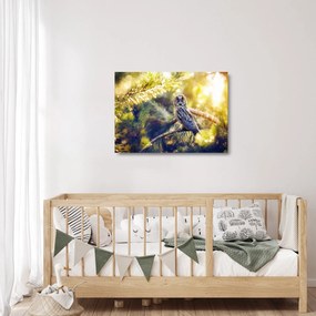 Sklenený obraz sovy na strome (70x50 cm)