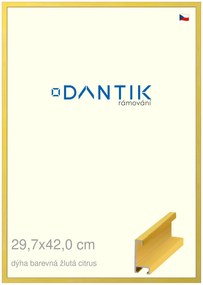 DANTIK rám na obraz 29,7x42 | ALU Dýha barevná žlutá citrus (Plexi Čiré)
