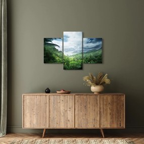 Obraz - Seychelská jungle (90x60 cm)