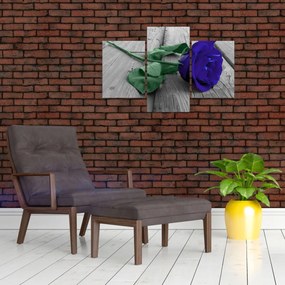 Obraz - Modrá ruža so zelenou stonkou (90x60 cm)