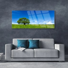 Obraz na akrylátovom skle Tráva strom príroda 125x50 cm