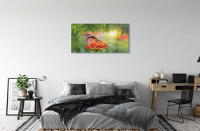 Sklenený obraz Farebný motýľ kvety 125x50 cm