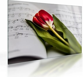 Sklenený obraz červeného tulipánu (70x50 cm)
