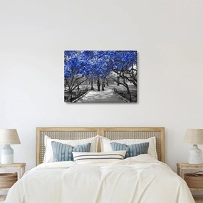 Obrázok - Modré stromy, Central Park, New York (70x50 cm)