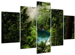Obraz - Priezor medzi stromami (150x105 cm)