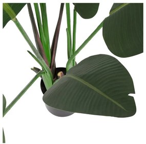 Umelá strelícia (výška 164 cm) – WOOOD