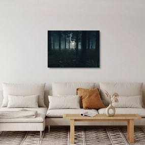 Sklenený obraz - Paprade v mesačnom svite (70x50 cm)