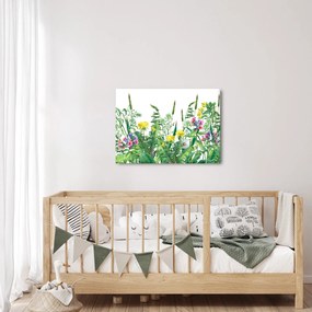 Obraz - Maľované lúčne kvety (70x50 cm)