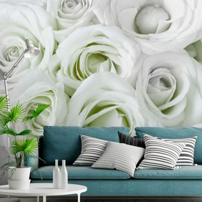 Artgeist Fototapeta - Satin Rose (Green) Veľkosť: 400x280, Verzia: Premium