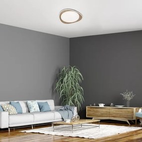 Rabalux 2427 - LED stropné svietidlo TAMINO LED/24W/230V